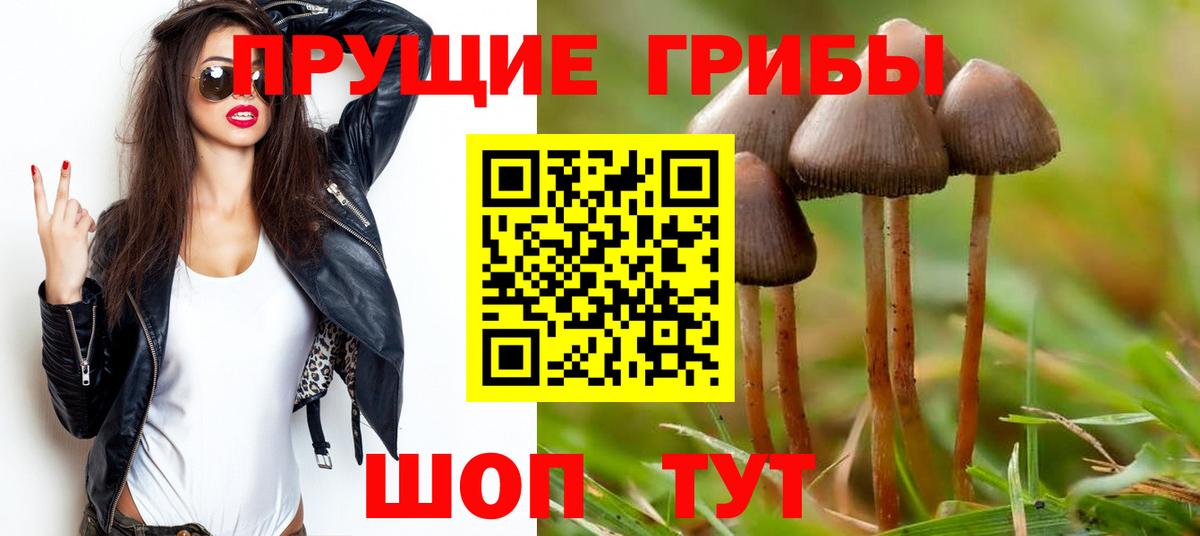 Долгопрудный  купить  цена  Вход с VPN  Псилоцибиновые грибы мухоморы 