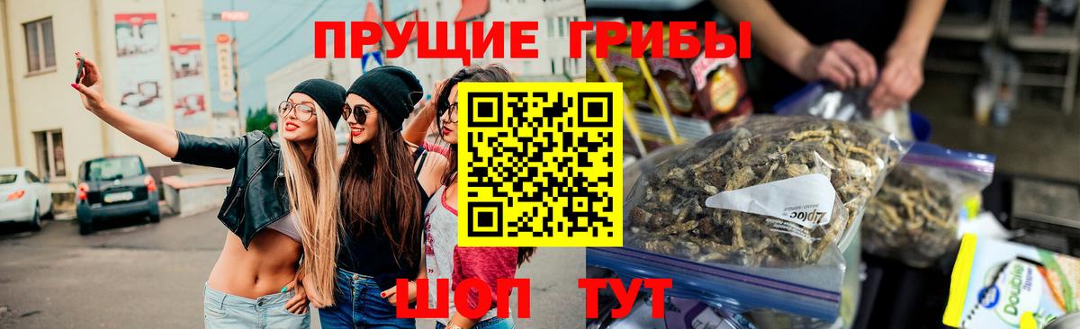 Псилоцибиновые грибы GOLDEN TEACHER Долгопрудный